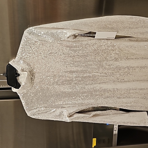 💕REFORMATION💕 Talicia Sequin Mock Neck Maxi Dress ~ Silver Sparkle 6 NWT - Picture 10 of 16